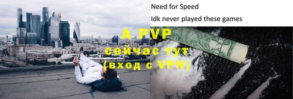 Альфа ПВП Каменка