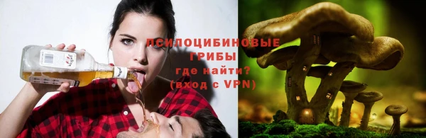 Альфа ПВП Каменка