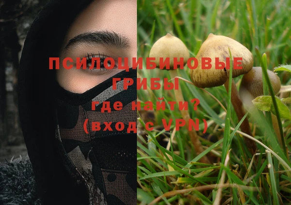 крисы Касимов