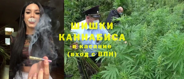 сатива Каменск-Шахтинский