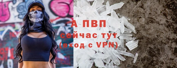 Альфа ПВП Каменка