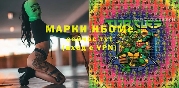 сатива Каменск-Шахтинский