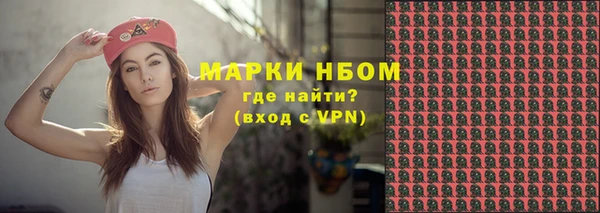 сатива Каменск-Шахтинский