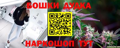 прущие крисы Донецк