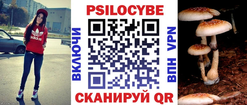 даркнет сайт  Кимры  это Telegram  Галлюциногенные грибы Cubensis 